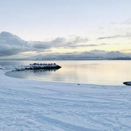 Spacious In Prime Location Appartement