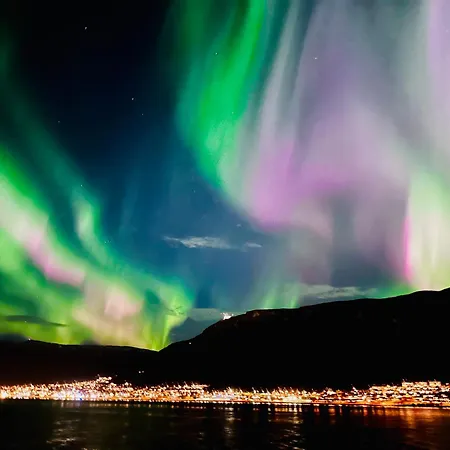 Spacious In Prime Location Appartement *