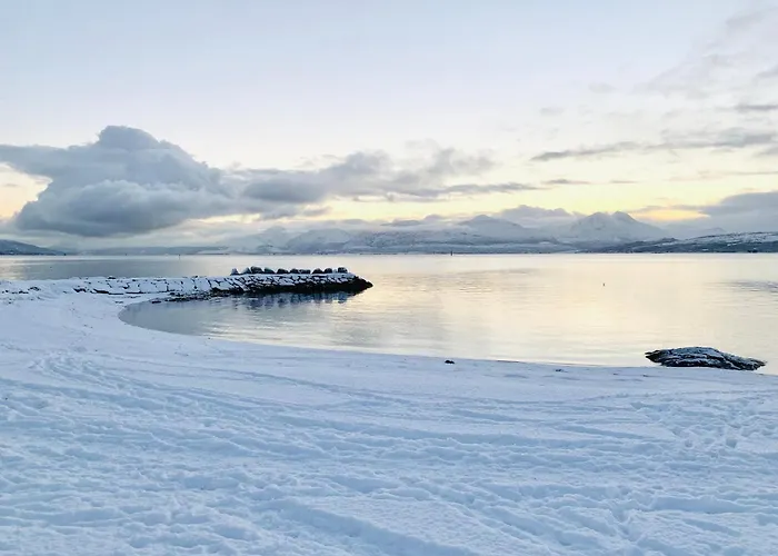 Spacious In Prime Location Appartement