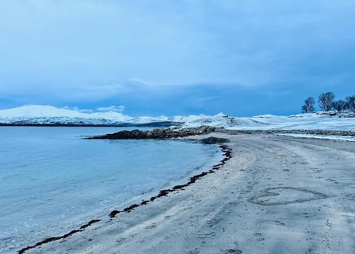 Appartement Spacious In Prime Location *